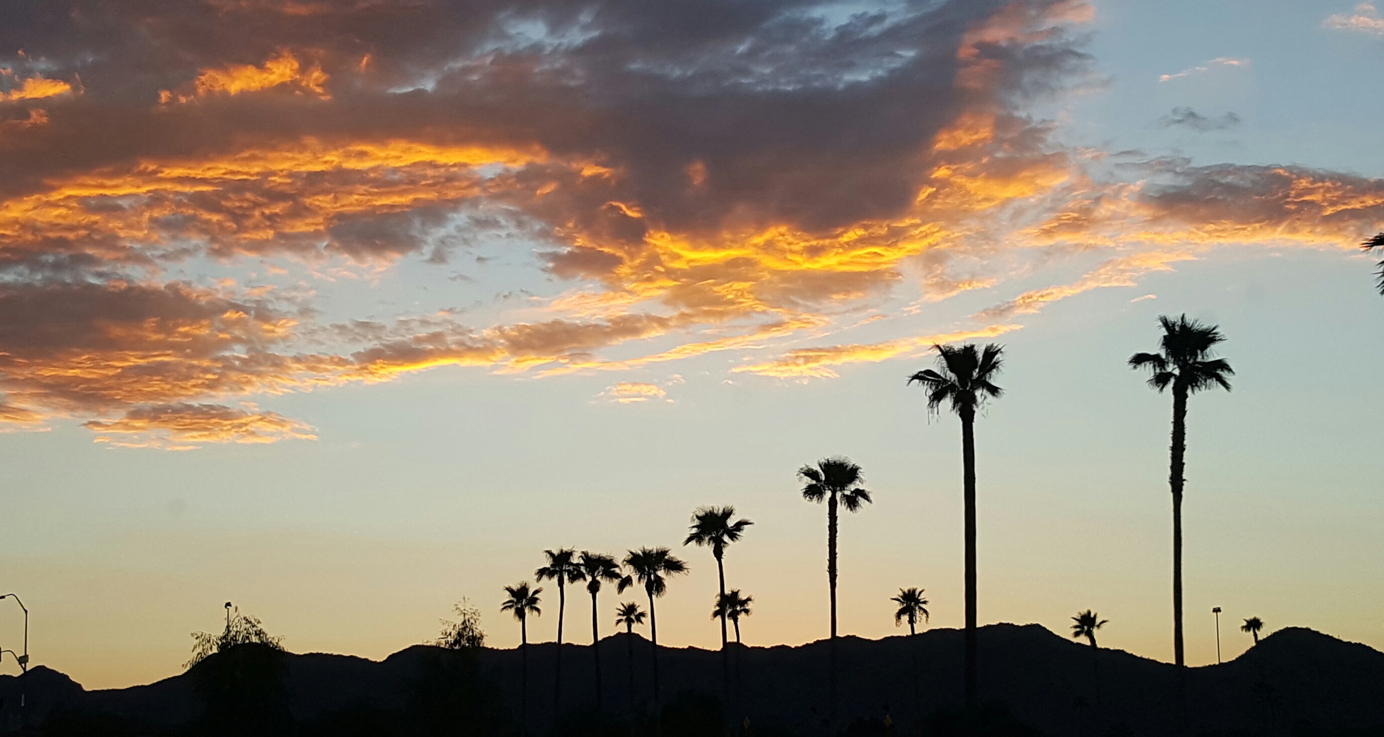 Tempe Bankruptcy Attorney, Bankruptcy Lawyers in Tempe and Phoenix