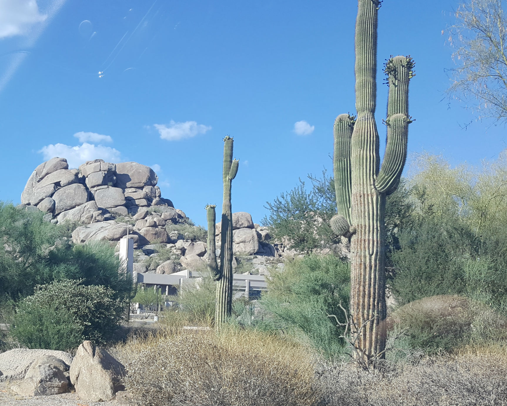 Scottsdale scenery -2